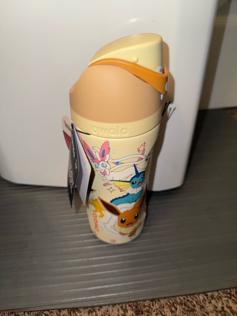 Pokemon Owala Eevee Evolutions Water Bottle